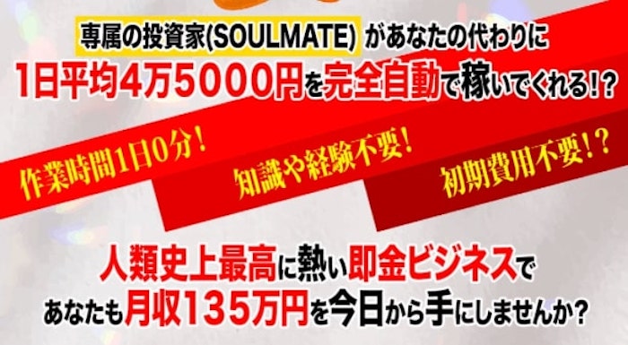 投資 | SOULMATE(ソウルメイト) 内容