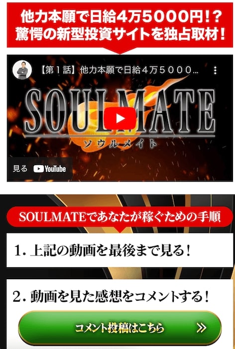 投資 | SOULMATE(ソウルメイト) LINE登録して検証やってみた