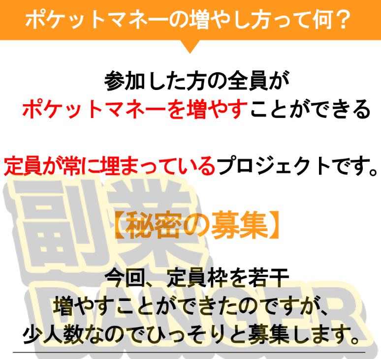 ポケットマネーの増やし方とは