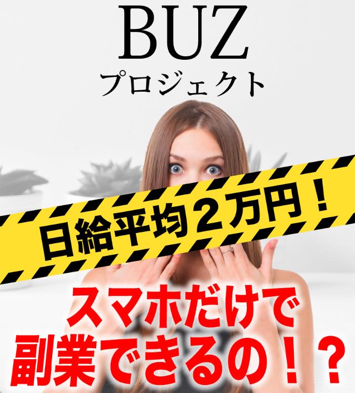 BUZプロジェクトの副業とは