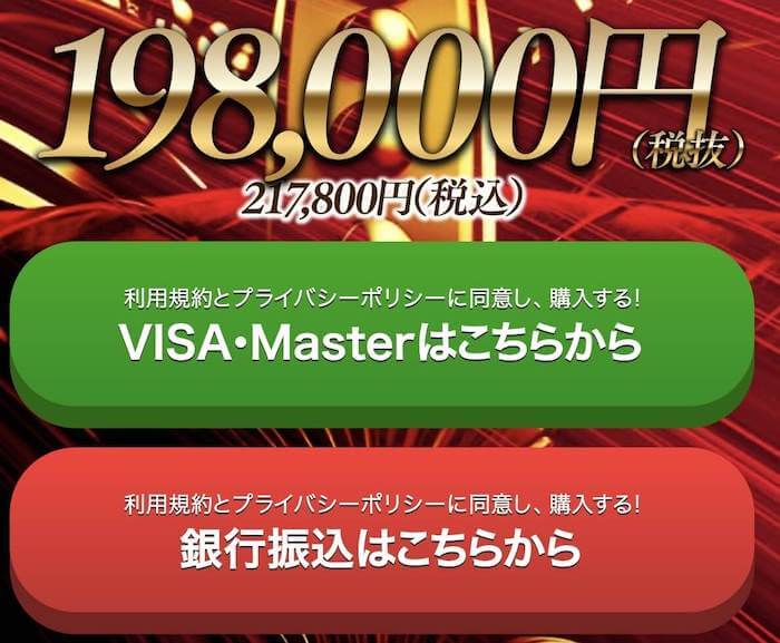 価格は198,000円と超高額