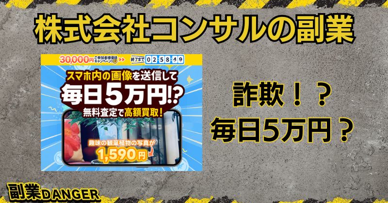 株式会社コンサルの副業は詐欺？プロ-写真-のLINE登録は危険か調査！